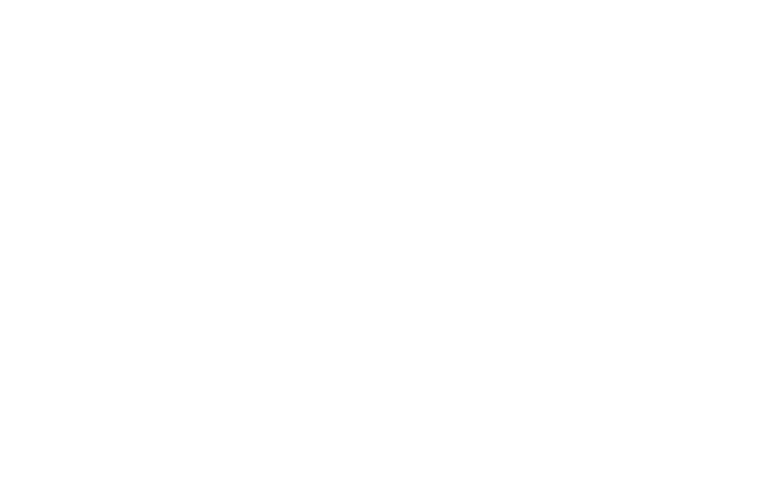 Smart Raccoons Logo